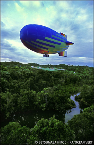Illustration for article titled Scientists Sail Among the Tree-Tops With This Canopy Raft